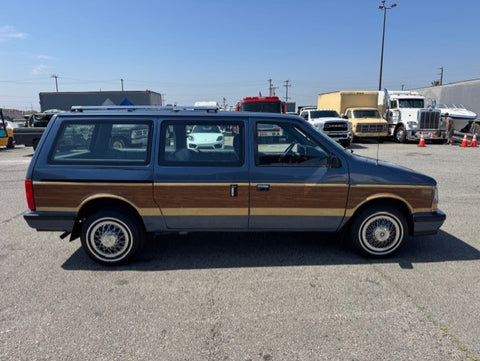 1990 Dodge Grand Caravan