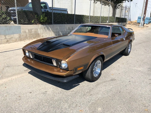 1973 Ford Mustang Mach 1 (Double)