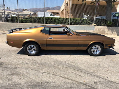 1973 Ford Mustang Mach 1 (Double)